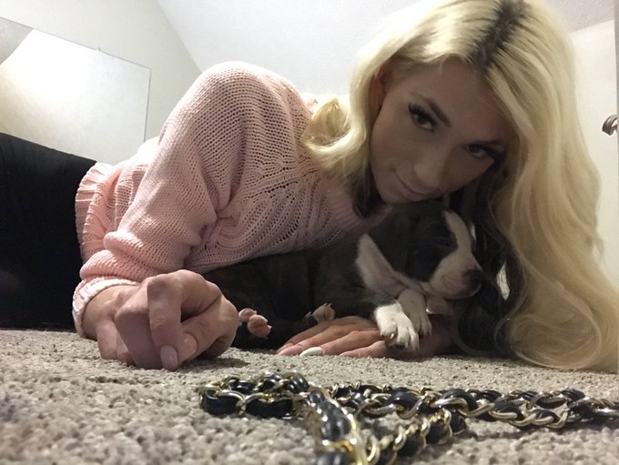 Well, I&rsquo;ve been out and not down, but up all night with this new addition to my family. Meet Link (like<a href="/tag/cardib"class="tags"><span>#cardib</span></a>