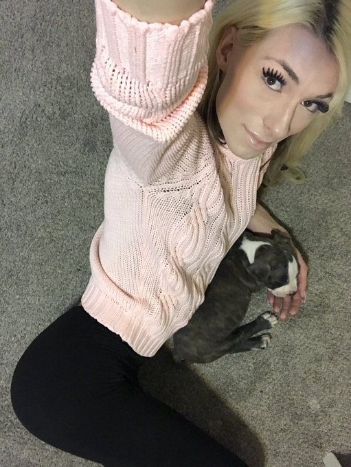 Well, I&rsquo;ve been out and not down, but up all night with this new addition to my family. Meet Link (like<a href="/tag/cardib"class="tags"><span>#cardib</span></a>