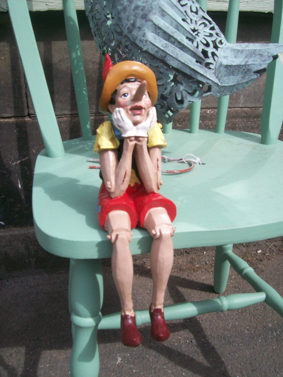 PotsPaws's tweet image. @PotsPaws open 7 days a week 10 - 5