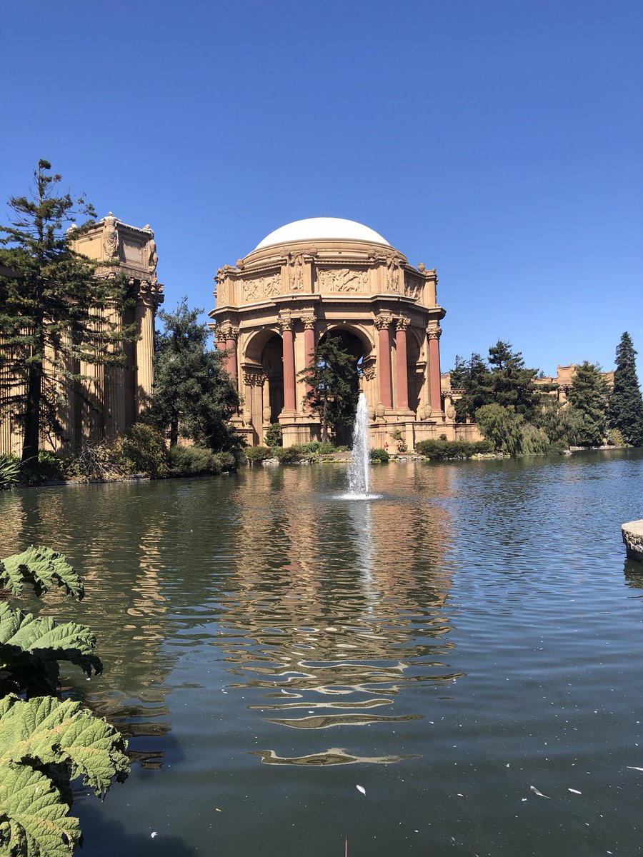 ryjack5's tweet image. 