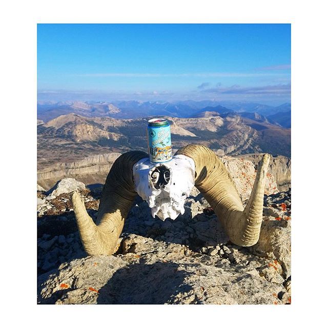 Hike far enough into the Bob Marshall Wilderness, the treasures you will find! #bigmountaintpa #adventureawaits #teapaleale ift.tt/2Nm1wOB