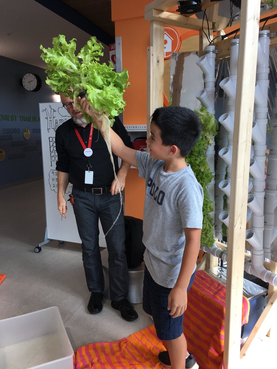 MissAppaiah's tweet photo. Today, we learned about how our new hydroponic garden works and even harvested our first batch of lettuce! Thanks, @RuskTeach!!! We can’t wait to see the large scale version of this in our Dining Commons and to eat what we grow! #SchooltoTable #WeAreFarmers @DiscoveryAPS https://t.co/BFR0PtqYAj