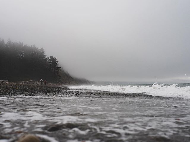 Calm.
.
#foggy #olympicpeninsula #sequim #dungenessspit #greenmeet #pnwonderland #pnwlife #pacificnorthwest #washintonstate #lumixgh5 #panasonicgh5 ift.tt/2OD7XsY