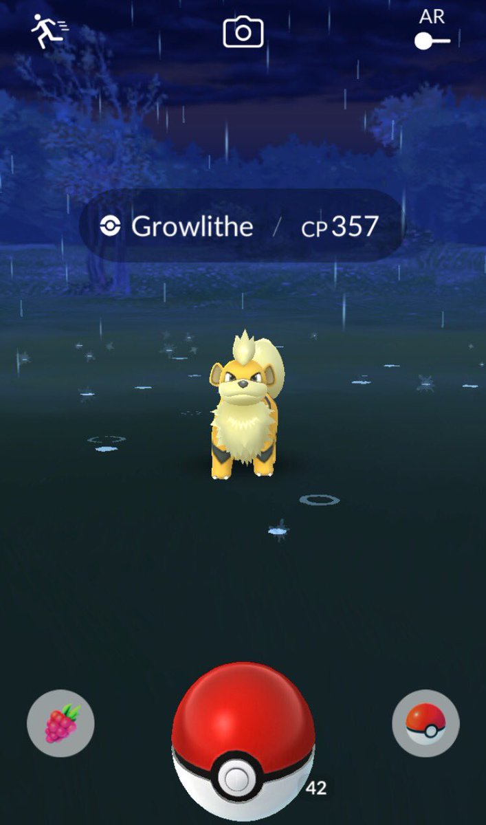 superteddiursa's tweet image. Day before #KantoEvent finishes and finally have my golden furball!!! #Growlithe #ShinyAlert #PokemonGO