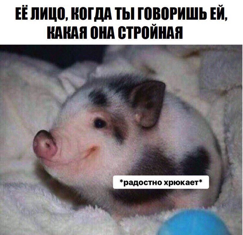 DnfMRO6X0AAqwtG?format=jpg&name=900x900