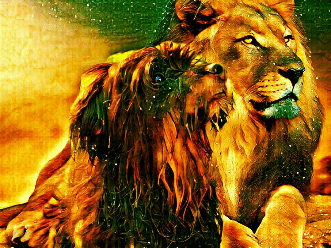 Herrchens kleiner Löwe 💕