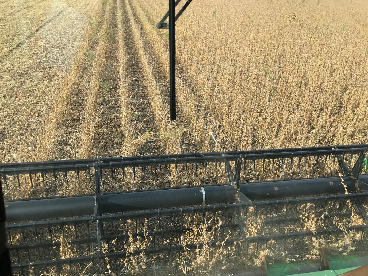Today is day 1 for us #harvest18 #soybeans #buyerswanted