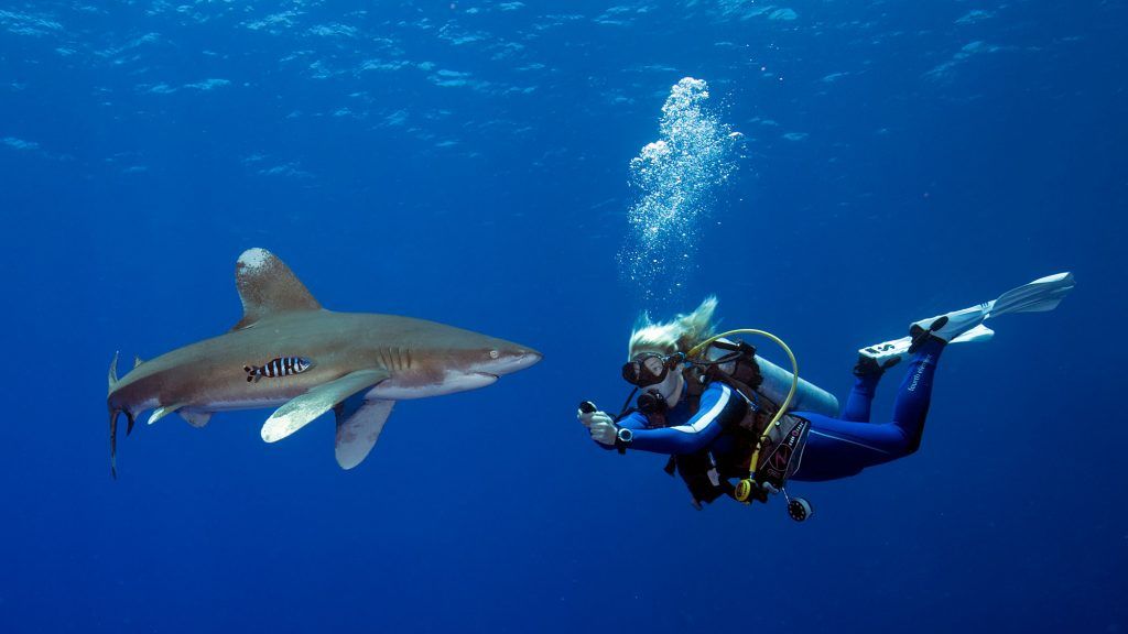 GonnaDive's tweet photo. 13 Tips That Make Cold Water Diving More Enjoyable
https://t.co/Kjyb9FLYUU
#divehacks #divetips #divingtips #scubadiving #diver #13tips #coldwater #coldwaterdiving #enjoyable https://t.co/IeLoBoPObZ