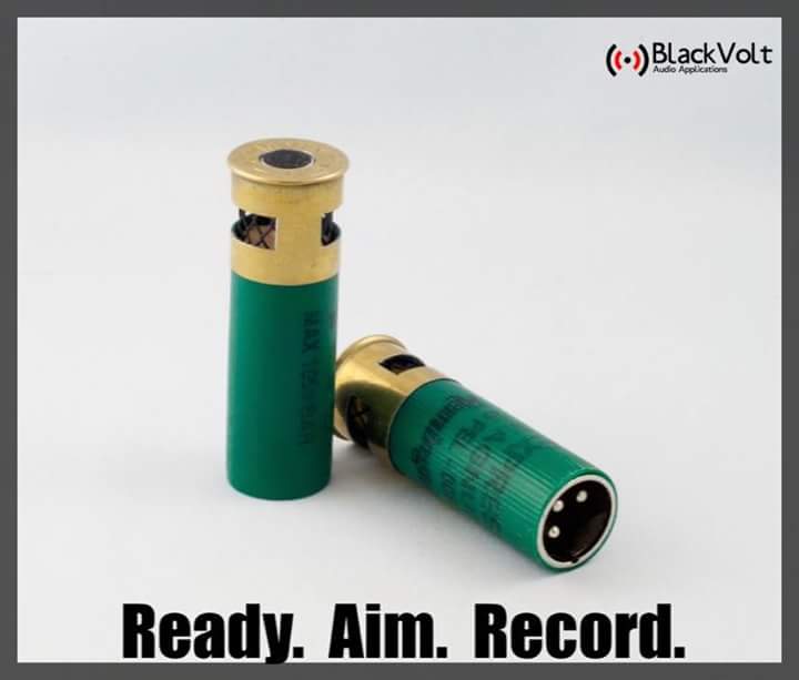 Blackvoltaudio's tweet image. #Green12 de @12GaugeMics cuenta con una cápsula con patrón polar cardioide, esto le permite tener un alto grado de rechazo fuera del eje para las frecuencias medias y agudas.

blackvoltaudio.com

#ExplosiveSound #Recording #StudioGear