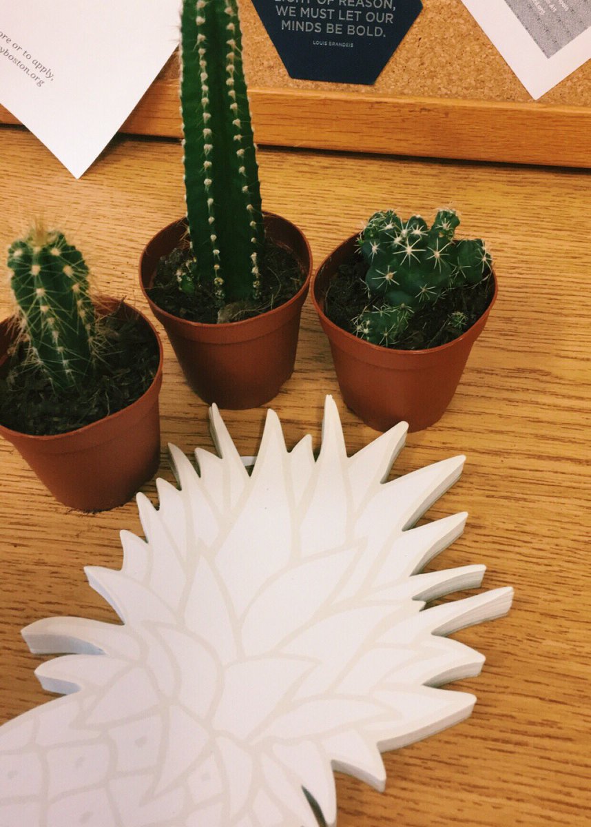 seferinebaez's tweet photo. my favorite bits of our office @Caro_ebhs @cacEBHS https://t.co/qdZIgnxV1X