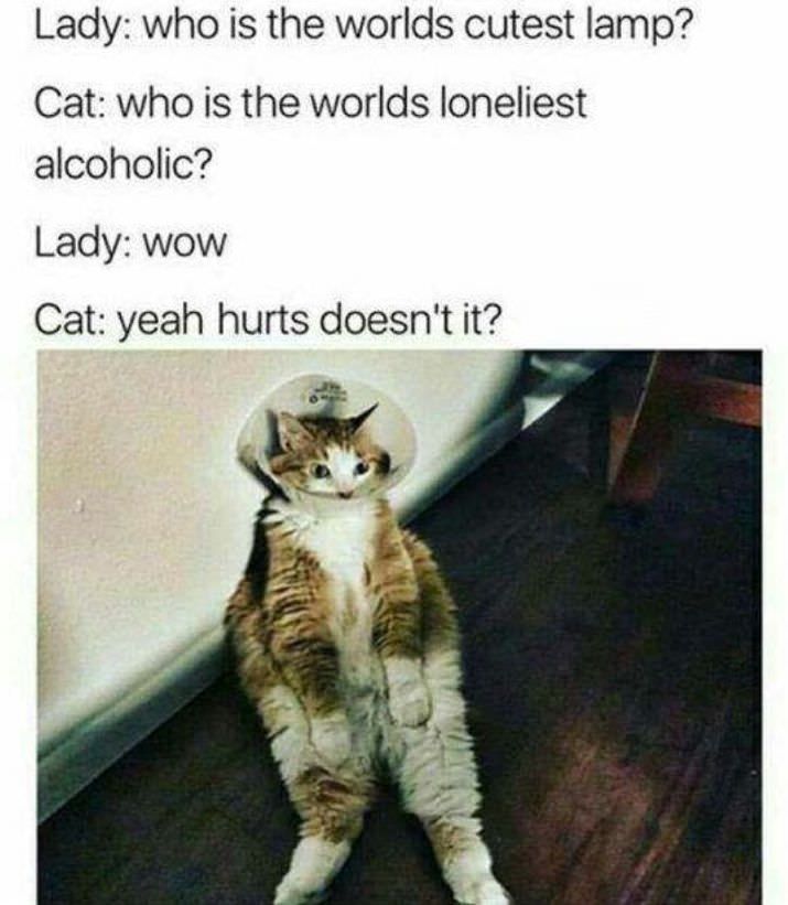 funnychain_co's tweet photo. Wisdom cat!
#brutal #cat #wisdomcat #wisdommeme #brutalmeme #FunnyChain
https://t.co/ZC9MV2JDpe Sign up and start making money watching memes https://t.co/rP0oDuFBPj