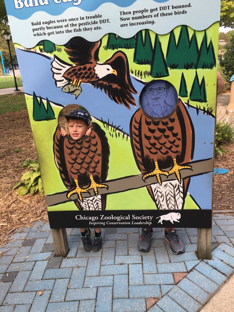 NickFallon10's tweet image. A @VicBergerIV eagle sighting at the Brookefield Zoo!  @VicFaceHoles #vicfaceholes