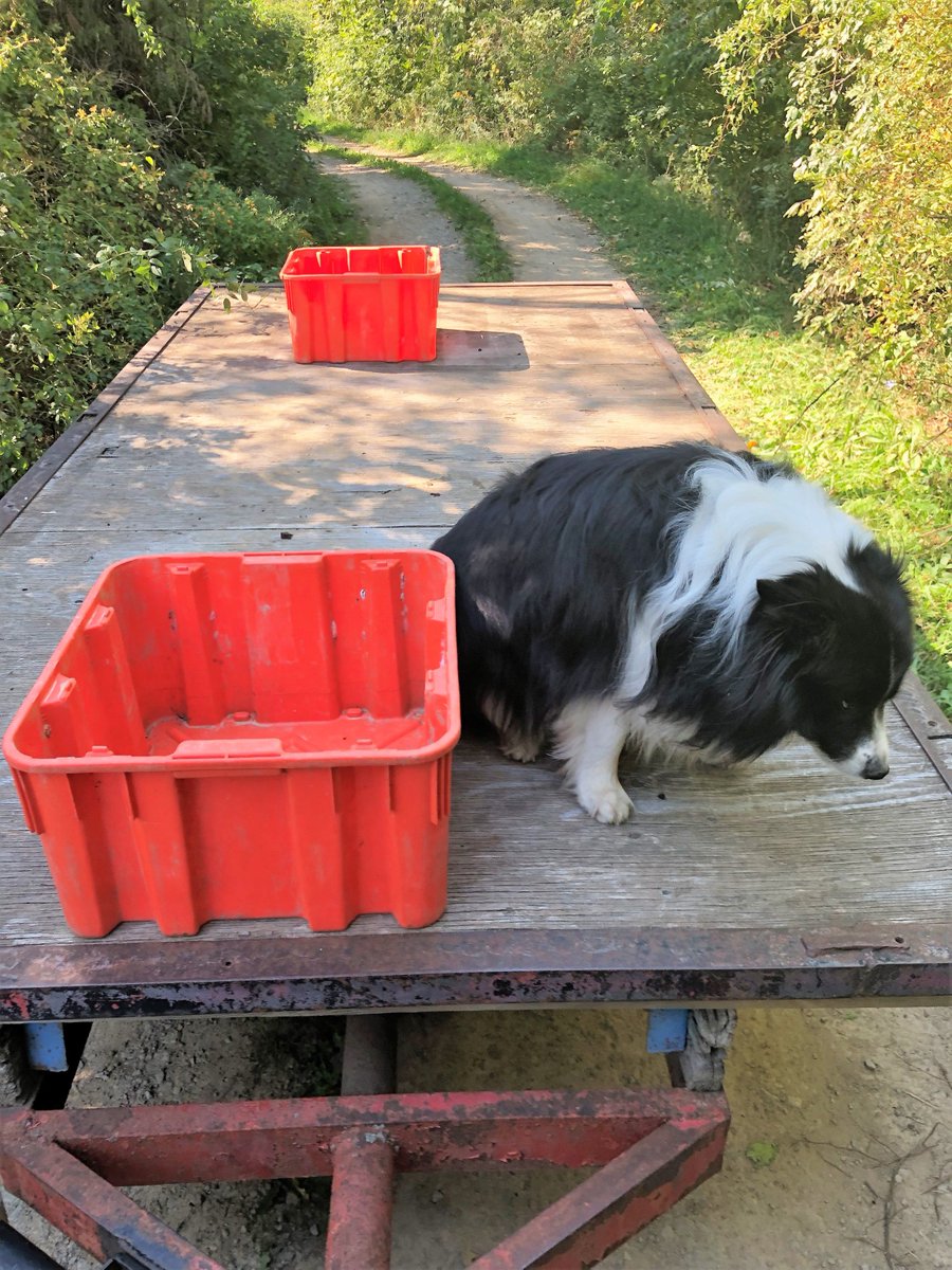 Laura Sabourin tweet media