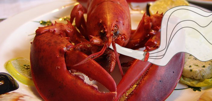 Boiled, Steamed, and Now Baked: Lobsters in Maine Shop are Sedated With Marijuana dlvr.it/QklMs9