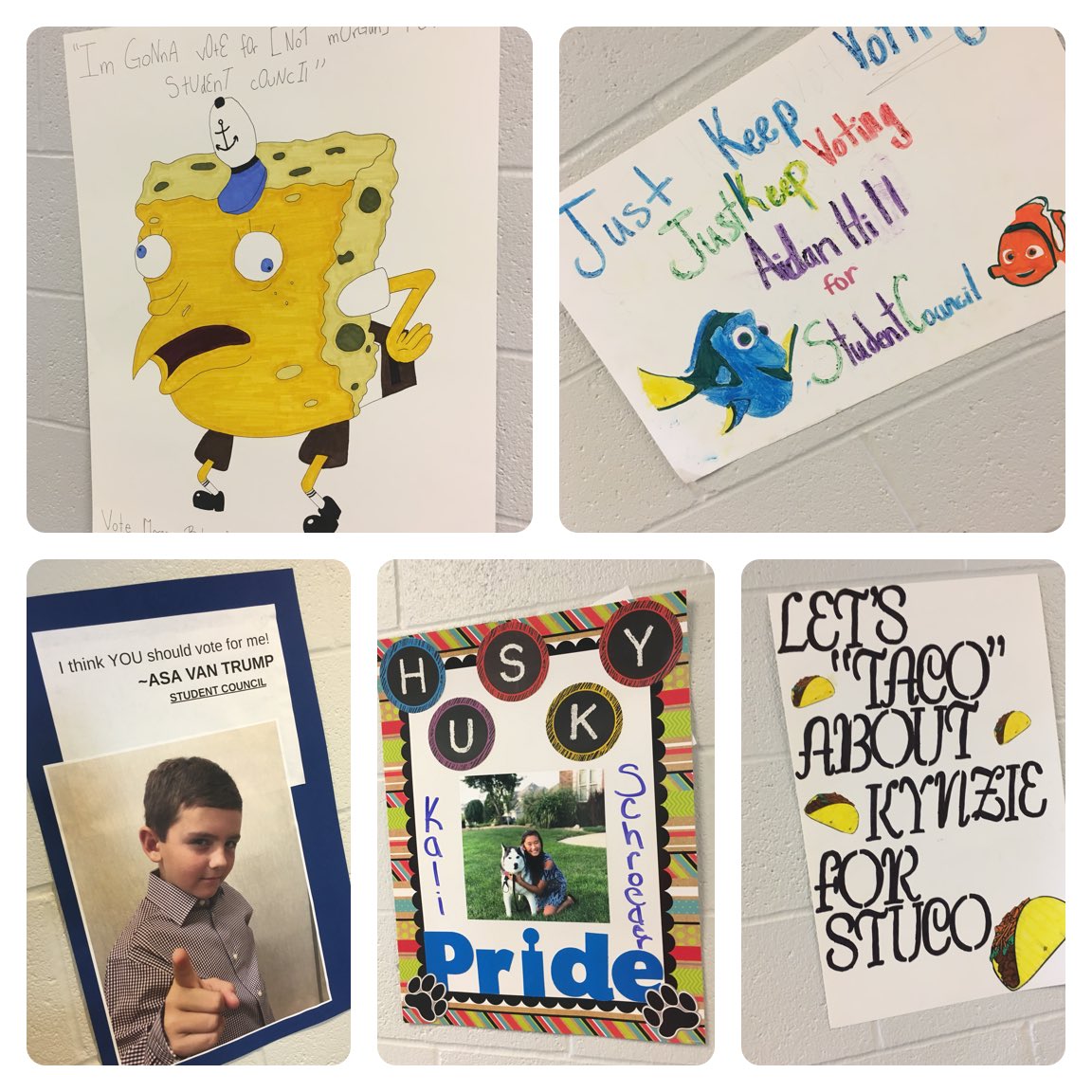 rpemshuskies's tweet photo. Love seeing the STUCO posters around the school! #votingisfriday #stucoreps https://t.co/yGbrfzvkd1