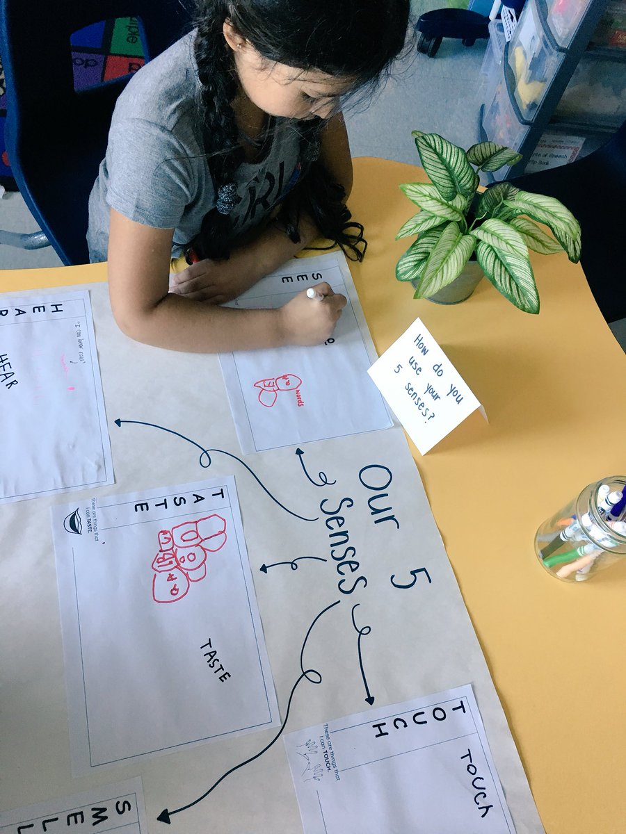 ms_bothmer's tweet photo. Wander and Wonder! We are thinking, wondering and asking questions about our five senses! #inquirymindset 👁👃🏼🖐🏼👂🏽 https://t.co/DNdTiyqVu5