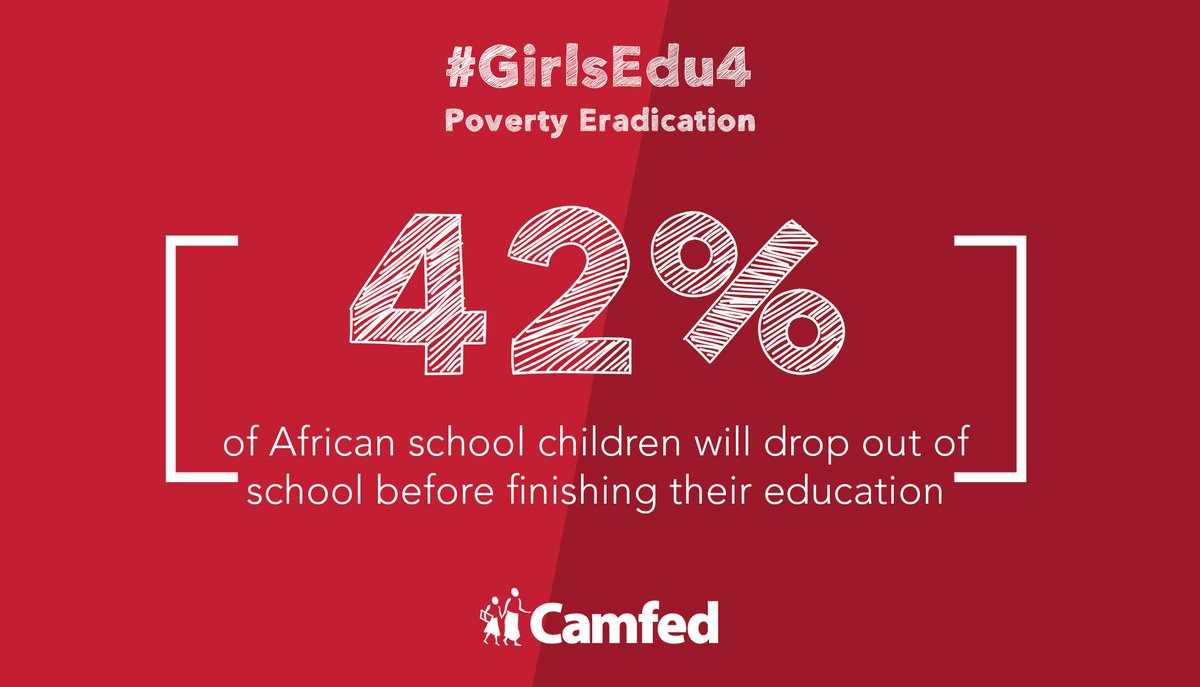 Camfed's tweet photo. Poverty feeds injustice &amp; inequality, denying millions of children their right to education. With support to go to school, a girl will rise out of poverty &amp; ensure her children stay in education too. #GirlsEdu4 Quality Education #GlobalGoals #SDG4 https://t.co/IjyUEk9P7Z