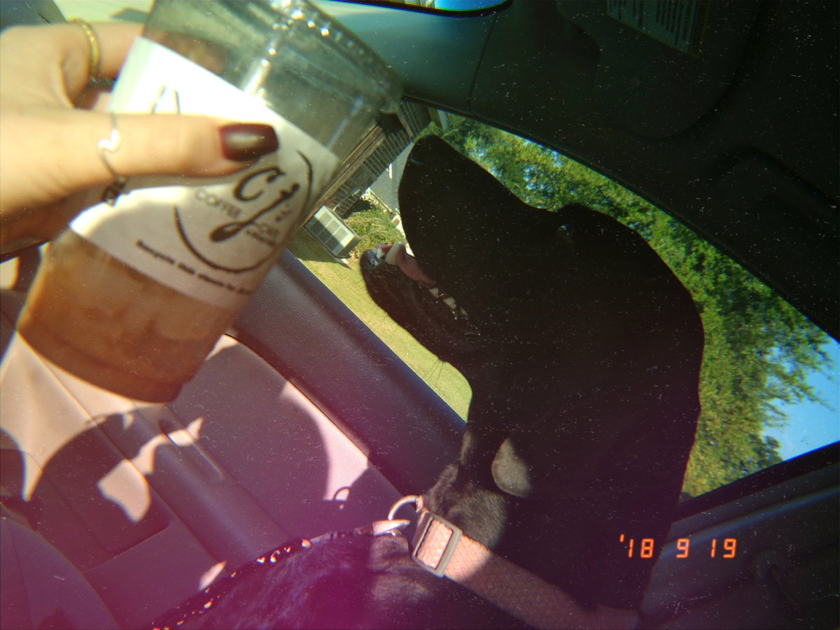 hayzekz's tweet photo. @CJscoffeecafe is all you need after a visit to the vet
#drinklocalcoffee #cjscoffee https://t.co/qfwfZyFHHT