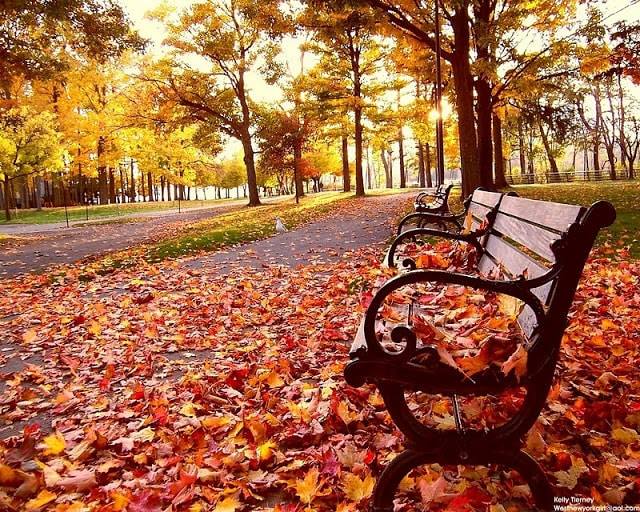 من يسأل عنك ﺑﺎستمرار هو من يستحق مكانه
خاصه في قلبكك عذرآ ﻟلبقية ﻓﭑﻟمعاملة ﺑﭑﻟمثل ♥