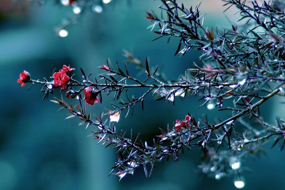 لا تحاول تحسين صورتك لأحد !

كلنا عاديون في نظر من لا يعرفنا ، 
مغرورون في نظر من يكرهنا ، 
جيدون في نظر من يعرفنا ، 
رائعون في نظر من يحبنا .!