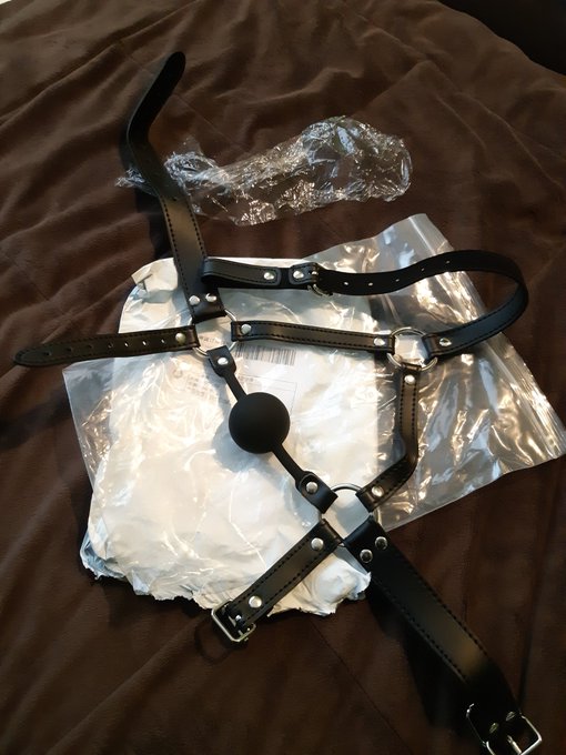Just got a new gag in the mail 😈 So excited https://t.co/cN0mJb9iaQ
