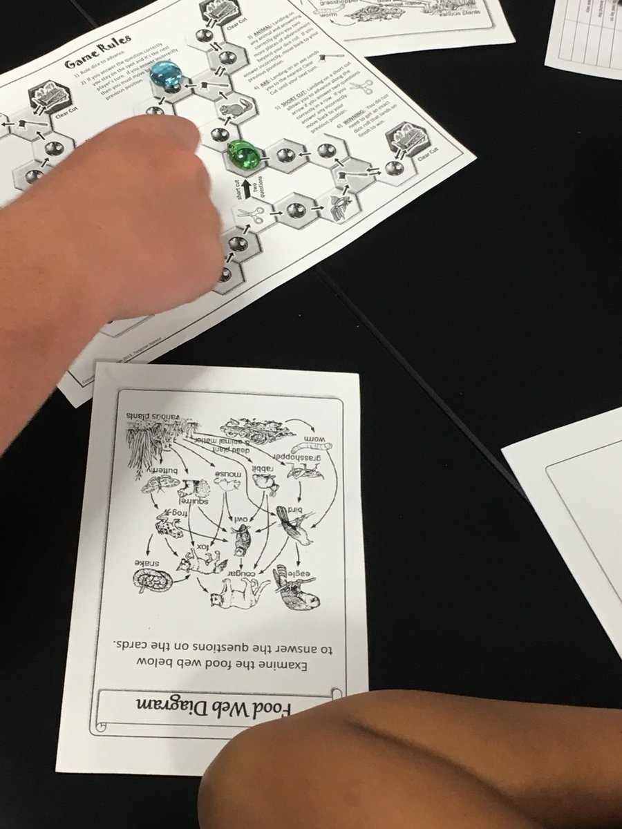GThevenote's tweet photo. Board game with food webs! #BridgelandBest #BHSBio @DBH_Bio @brackney_BHS @bhsnewland @BrianGilchriest @BridgelandBioAP https://t.co/xmv8oYhNfR