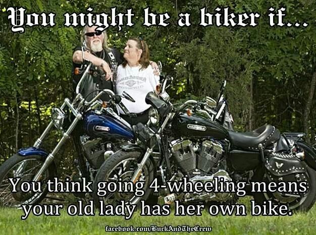 Biker Old Lady Quotes Shark Squad Law On Twitter: "True Story... #Sharksquad  #Alwaysridingbyyourside #Biker #Motorcycle #Oldlady #Fourwheeling  Https://T.co/S9C878Xdwg" / Twitter