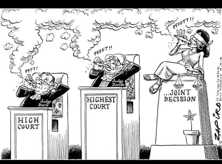 YamikaniMP's tweet photo. #zapiro makes me happy! #weedisLegal https://t.co/lM7eCSaaSt
