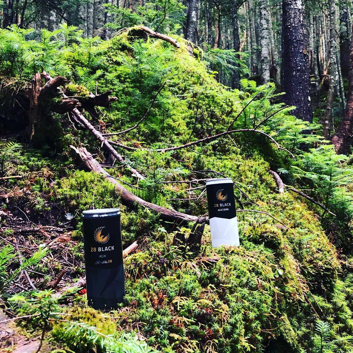 28silentenergy's tweet photo. 緑の中に、
見つける、
静かなるエナジィ。
https://t.co/KxFbZBowvf
#silentenergy #28BLACK #静かなるエナジィ #エナジードリンク #奥日光 #ウェブでも販売中 #ドンキ #NewDays #でもよろしくお願いします #mcama #栃木 https://t.co/xE3s0Xje2F