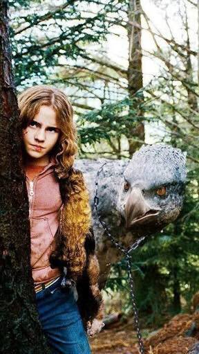 potterish's tweet photo. Em Prisioneiro de Azkaban, Hermione foi a pessoa que moveu toda a trama com o Vira-Tempo que usava para estudar! O que seria da historia desse livro/filme sem Hermione? https://t.co/Q66ILtV8Xp