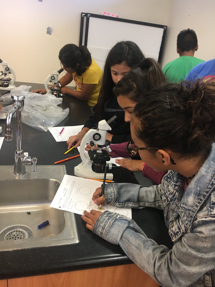 RdVTillman's tweet image. 6th grade scientists! #microscopelab #rdv #rioschools #collaboration #creativity #criticalthinking