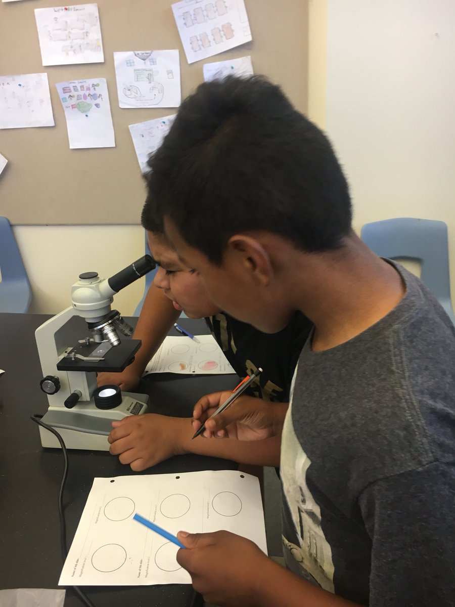 RdVTillman's tweet image. 6th grade scientists! #microscopelab #rdv #rioschools #collaboration #creativity #criticalthinking