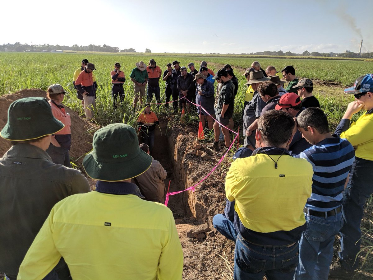 evidn's tweet photo. Full house on day 4 of @sugarresearch and #HCPSL’s Kicking The Dirt workshops. Focus on #soilhealth, #productivity & #sustainability. https://t.co/eROX14t2Ks