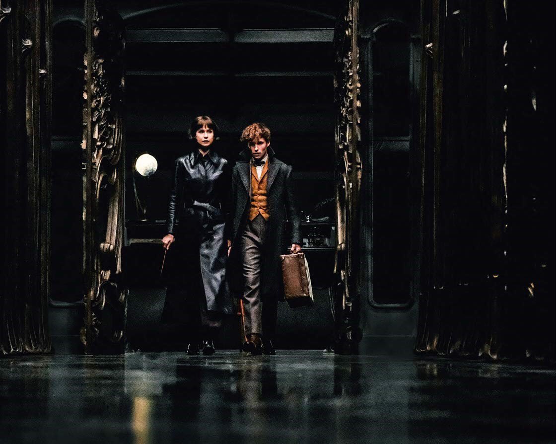 Animais Fantásticos Os Crimes de Grindelwald Newt e Theseus