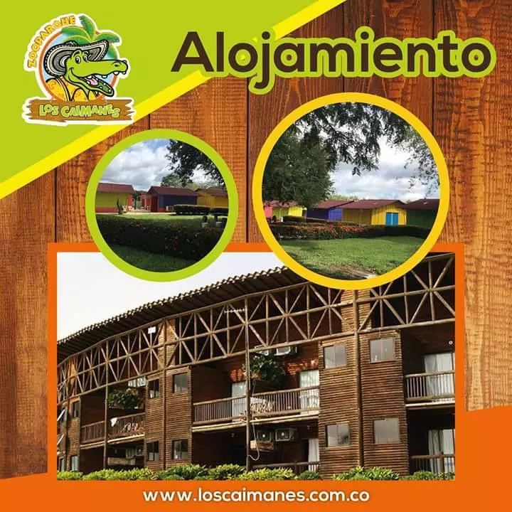 ZooLosCaimanes's tweet photo. En el #ZooparqueLosCaimanes tenemos varias opciones de alojamiento tanto para los aventureros como para quienes buscan la comodidad y el confort. ¡Realiza tu reserva!  316 2416799 – 310 5031070 #Bungaloos #Hotel https://t.co/Mru1lSy96I https://t.co/kzYg4OStrd