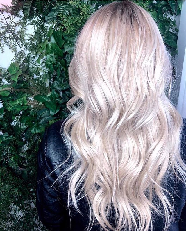 SalonOnlySales1's tweet photo. Maintaining healthy hair like this can be hard for clients, especially after blonding. @neumabeauty neuBlonde Platinum Shampoo and neuBlonde Platinum Detangling Rinse give clients gorgeous blonde locks that are easy to obtain and manage. Say no 🙅🏼 to… https://t.co/IpFcsT75T4 https://t.co/pV8BluXFAn