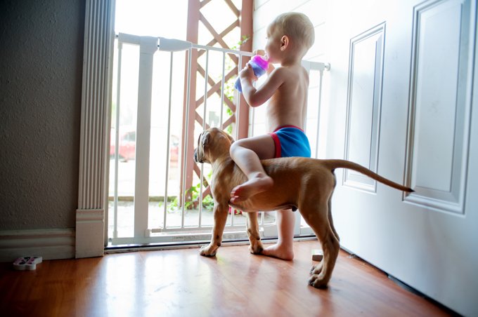 Haiydi Baracat (@haed23620533) on Twitter photo 