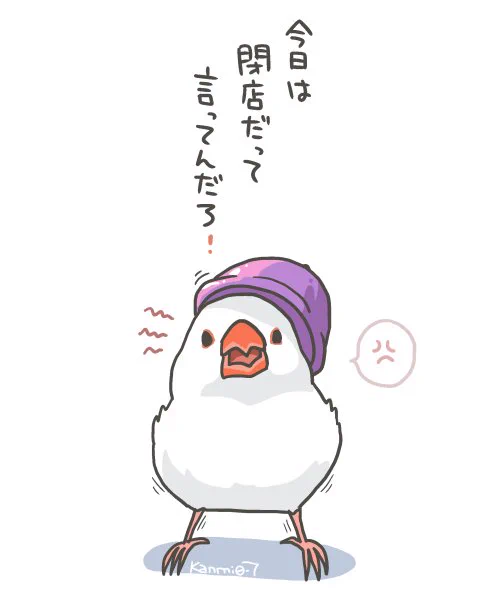 怒る鳥 