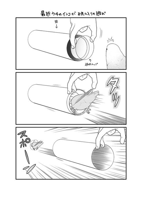 モー助 けものみち 9 25発売 Mmousuke さんのマンガ一覧 古い順 10ページ ツイコミ 仮