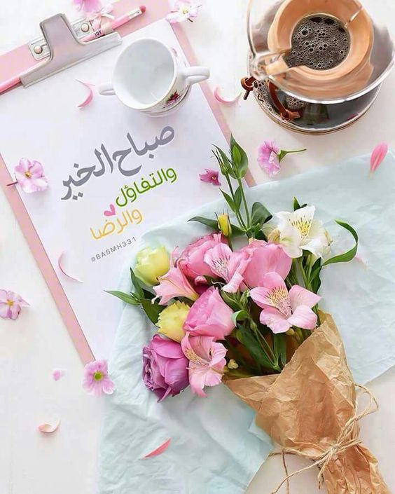 السعادة هي : عافية في الدنيا وعفو في الأخرة  اسال الله لي ولكم العفو والعافية في الدنيا والاخرة   صباحكم سعادة 🌹