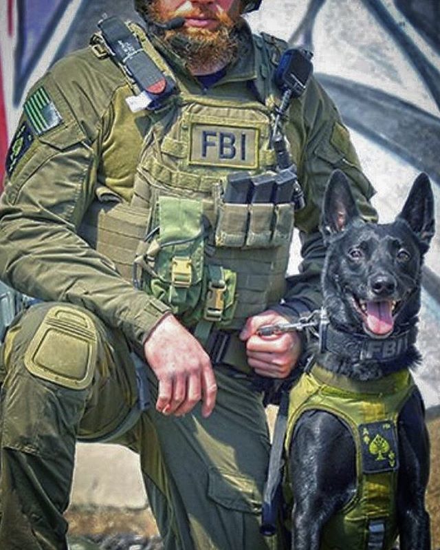 K9 Storm Inc. on Twitter "FBI K9 “Ace” always makes the bad guys fold