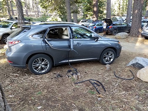 Bear Uses Force To Break Into Multiple Cars Near Lake Tahoe Active Norcal