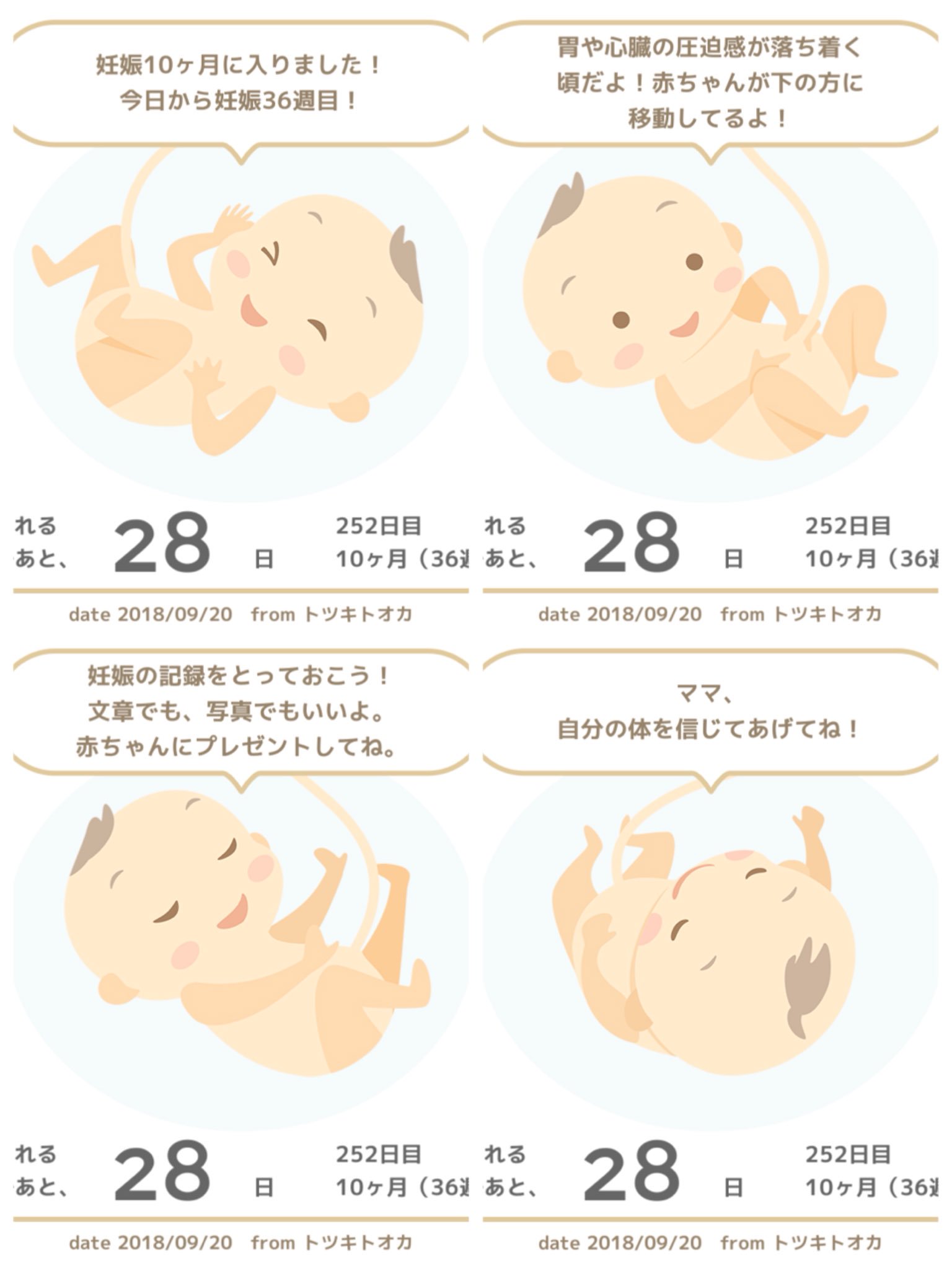 ガラス 今日から36週目 ついに臨月 赤ちゃんの体重も2700グラム超えたし もういつ産まれても大丈夫 楽しみ T Co Qz5pin4kqp Twitter