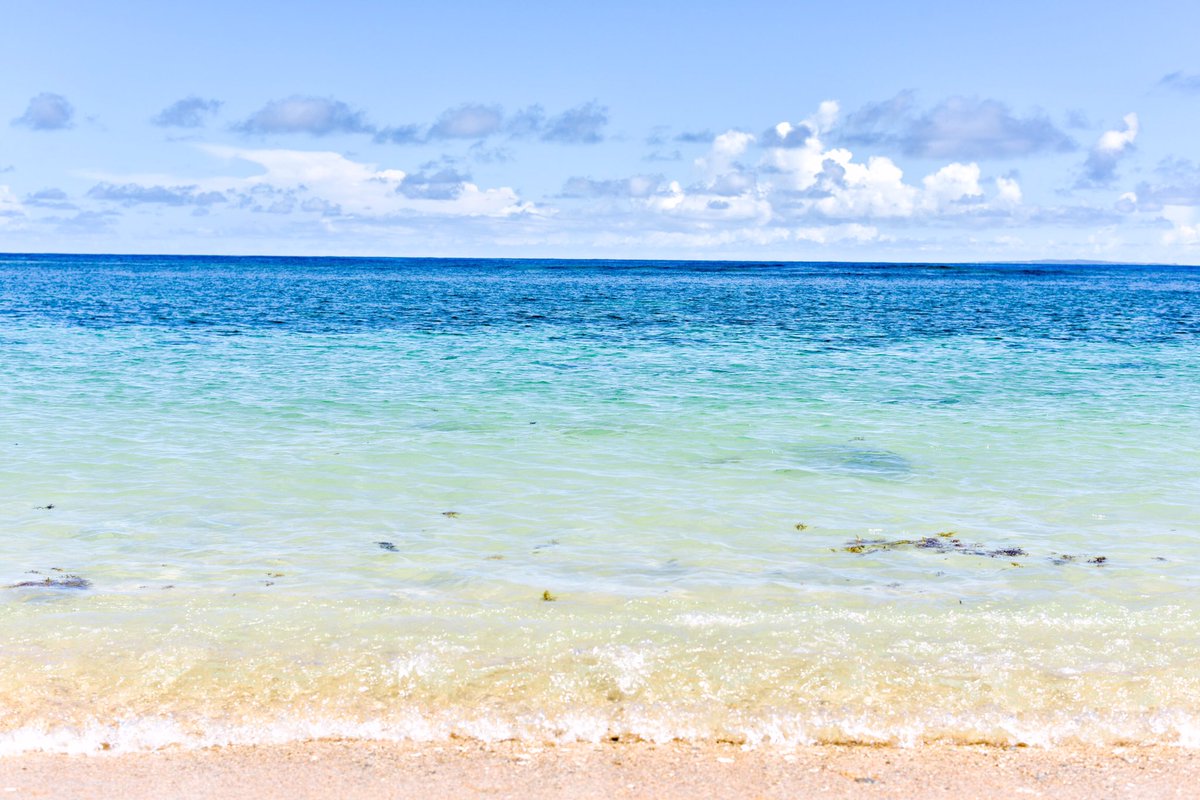 Ruri 久高島の猫たちは はたして海の仲間なのか Nikonphotography ねこ Okinawa