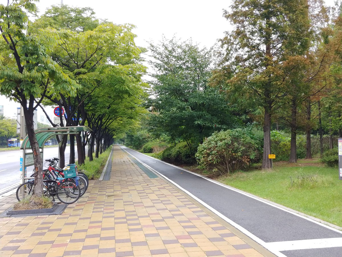 '9.18 평화 만국회의' 막내려…3일동안 25만명 참여  (출처 : 뉴시스 | 네이버 뉴스) naver.me/FCYbmJNO