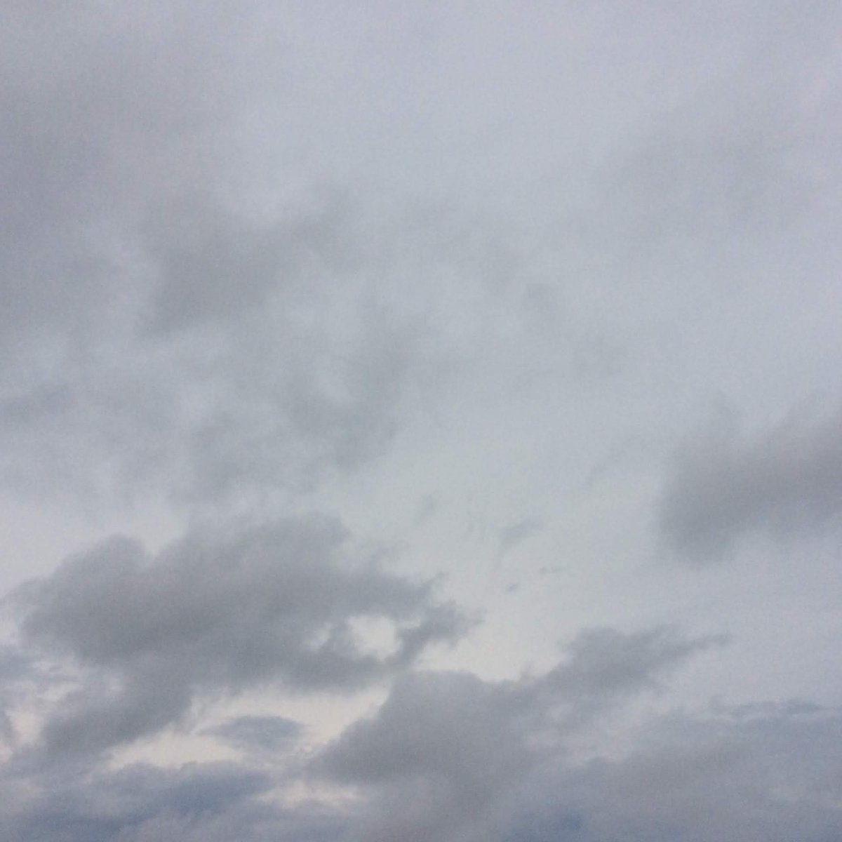 CM1C_LFC's tweet photo. Enjoy the sky part 2 #SkyDayProject #LyceeChicago https://t.co/2uoErWVRSs