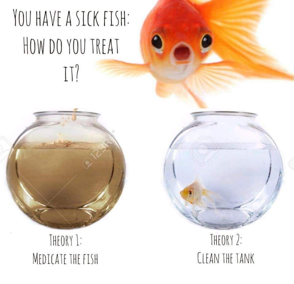 vdorsey's tweet image. No one wants to be dependent on prescriptions to be able to function. God created your body with an incredible ability to heal itself. Just gotta give it the right tools. I know some great tools 😉

Clean the tank you guys 🙌🏼 #rootIssues #preventionoverprescription #guthealth