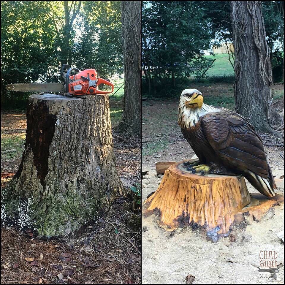 chadgaineyart's tweet photo. Poplar Stump Sculpture Before and After #husqvarna #readywhenyouare #562XP #chainsaw #chainsawart #eagle #beforeandafter https://t.co/t5JcOmFwxK