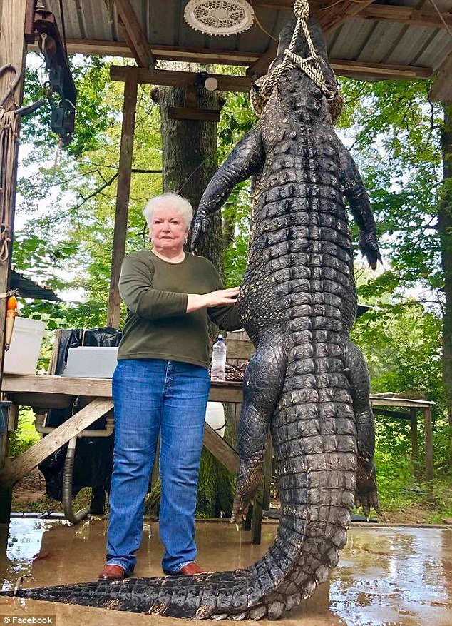 テキサスのばばあすげぇwwwマグナムの一撃で4m長のワニ仕留めるwww