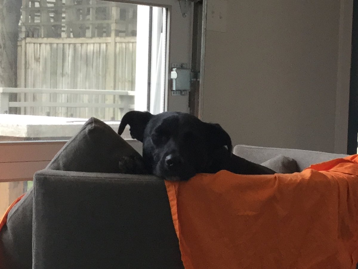 Elizabeth Wildman tweet media